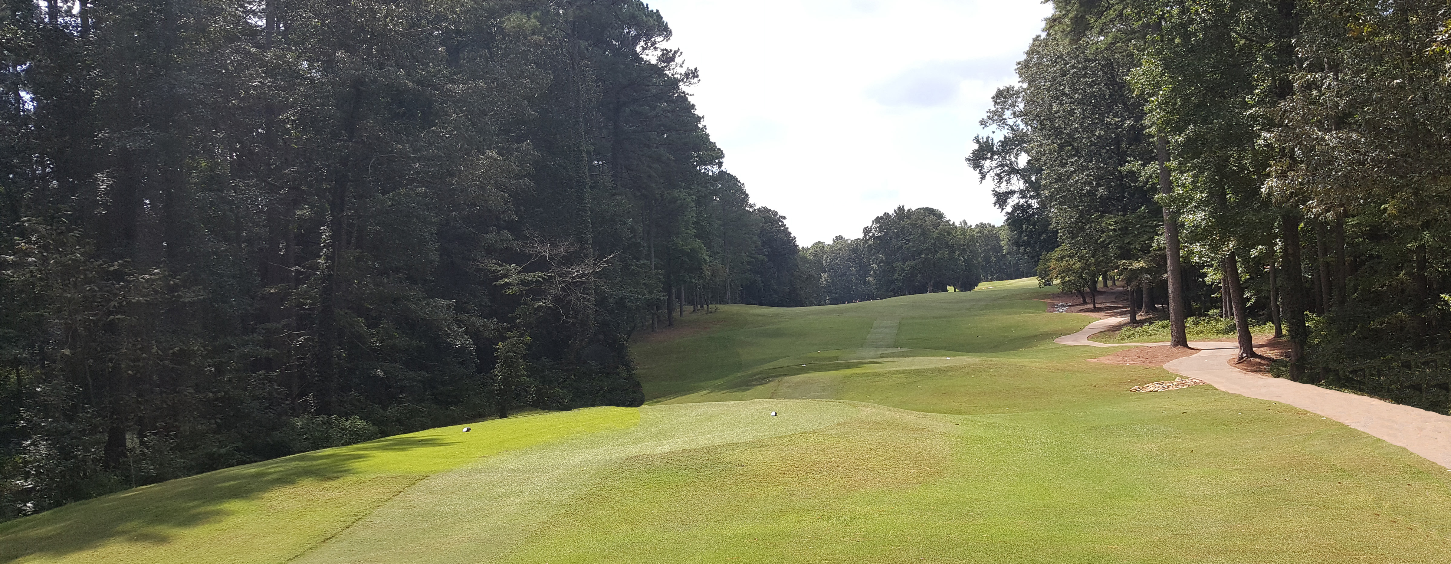 14th Tee View